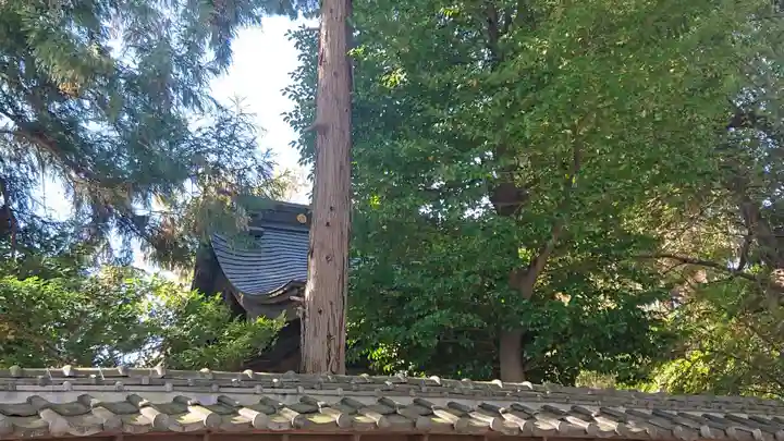 高城神社の本殿・本堂