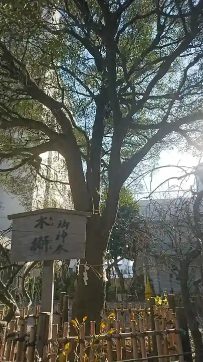 牛天神北野神社の庭園