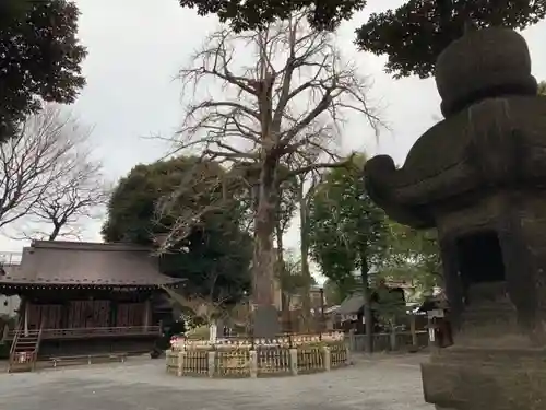 七社神社のその他建物
