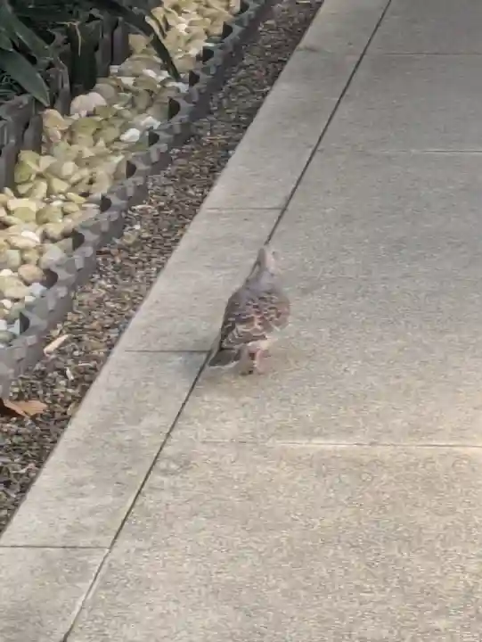 永昌寺(東京都)
