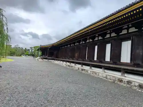 蓮華王院（三十三間堂）の本殿・本堂