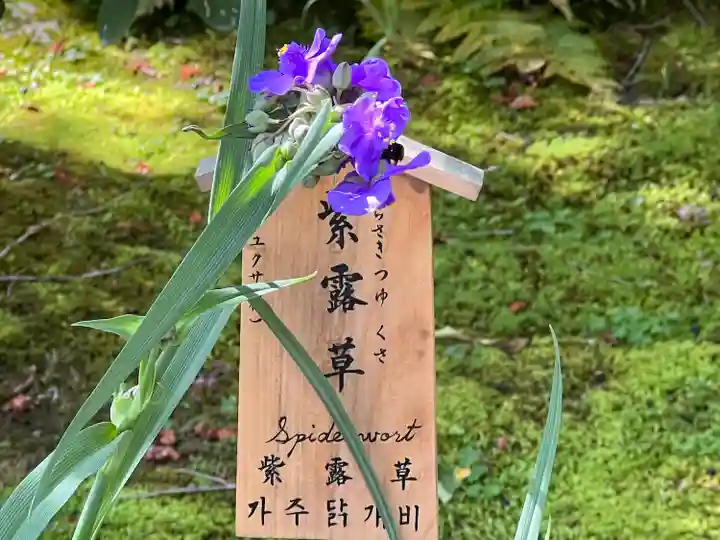 天龍寺(京都府)
