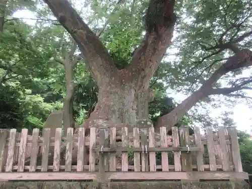 六代山不動院(神奈川県)