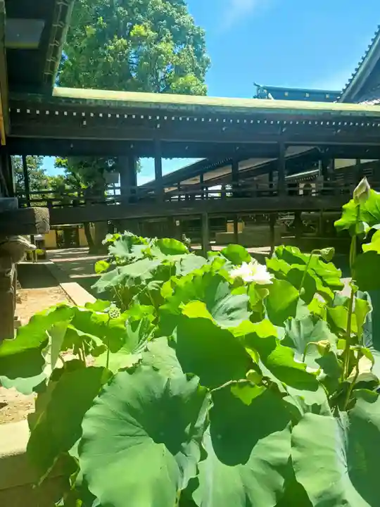 題経寺(柴又帝釈天)(東京都)