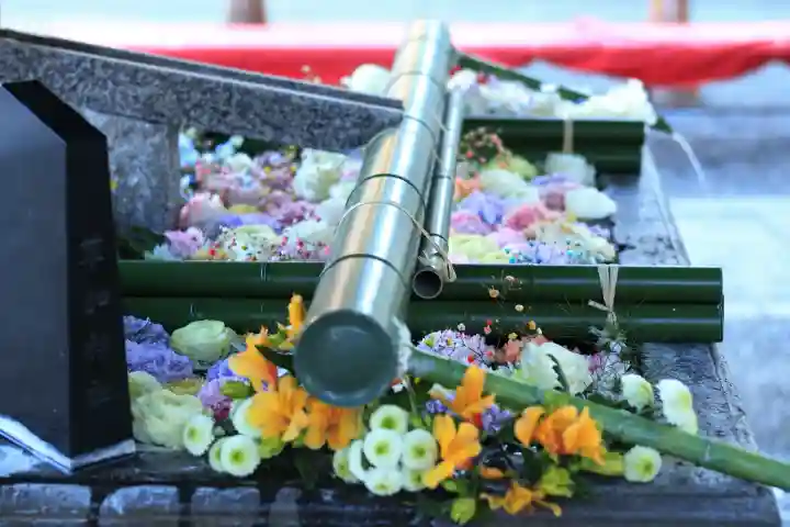 草加神社の{uncategorized: "未分類", other: "その他", undefined: "問題あり", building: "その他建物", grave: "お墓", sacred_gate: "鳥居", guardian: "狛犬", statue: "像", buddha: "仏像", history: "歴史", nature: "自然", garden: "庭園", animal: "動物", pagoda: "塔", temizu: "手水舎", mountain_gate: "山門・神門", sanctuary: "本殿・本堂", subordinate: "末社・摂社", art: "芸術", scenery: "景色", jizo: "地蔵", ema: "絵馬", goshuin: "御朱印", omikuji: "おみくじ", items: "授与品その他", amulet: "お守り", goshuincho: "御朱印帳", eats: "食事", festival: "お祭り", votive_dance: "神楽", shichigosan: "七五三参", wedding: "結婚式", experience: "体験その他", initially: "初詣", around: "周辺", anti_infection: "感染症対策"}