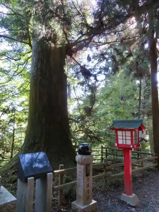 高尾山薬王院の自然