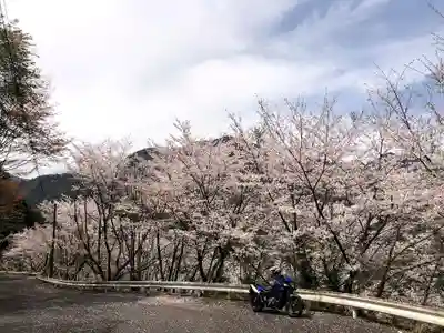兒原稲荷神社の自然