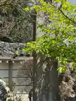 龍雲寺(東京都)