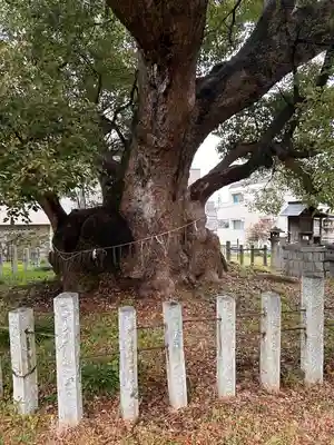 村上社(愛知県)