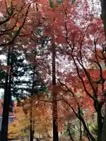 石道寺(滋賀県)