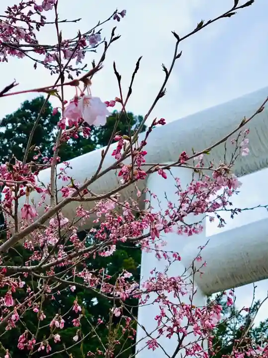 土津神社|こどもと出世の神さまの自然