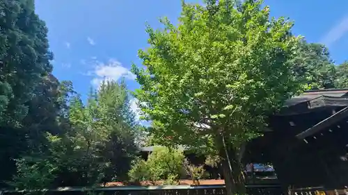 甲斐國一宮 浅間神社(山梨県)