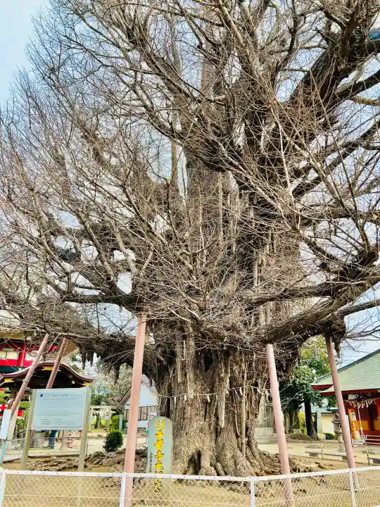 千葉寺の{uncategorized: "未分類", other: "その他", undefined: "問題あり", building: "その他建物", grave: "お墓", sacred_gate: "鳥居", guardian: "狛犬", statue: "像", buddha: "仏像", history: "歴史", nature: "自然", garden: "庭園", animal: "動物", pagoda: "塔", temizu: "手水舎", mountain_gate: "山門・神門", sanctuary: "本殿・本堂", subordinate: "末社・摂社", art: "芸術", scenery: "景色", jizo: "地蔵", ema: "絵馬", goshuin: "御朱印", omikuji: "おみくじ", items: "授与品その他", amulet: "お守り", goshuincho: "御朱印帳", eats: "食事", festival: "お祭り", votive_dance: "神楽", shichigosan: "七五三参", wedding: "結婚式", experience: "体験その他", initially: "初詣", around: "周辺", anti_infection: "感染症対策"}