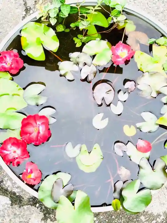 楽法寺(雨引観音)(茨城県)