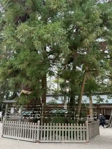 大神神社の{uncategorized: "未分類", other: "その他", undefined: "問題あり", building: "その他建物", grave: "お墓", sacred_gate: "鳥居", guardian: "狛犬", statue: "像", buddha: "仏像", history: "歴史", nature: "自然", garden: "庭園", animal: "動物", pagoda: "塔", temizu: "手水舎", mountain_gate: "山門・神門", sanctuary: "本殿・本堂", subordinate: "末社・摂社", art: "芸術", scenery: "景色", jizo: "地蔵", ema: "絵馬", goshuin: "御朱印", omikuji: "おみくじ", items: "授与品その他", amulet: "お守り", goshuincho: "御朱印帳", eats: "食事", festival: "お祭り", votive_dance: "神楽", shichigosan: "七五三参", wedding: "結婚式", experience: "体験その他", initially: "初詣", around: "周辺", anti_infection: "感染症対策"}