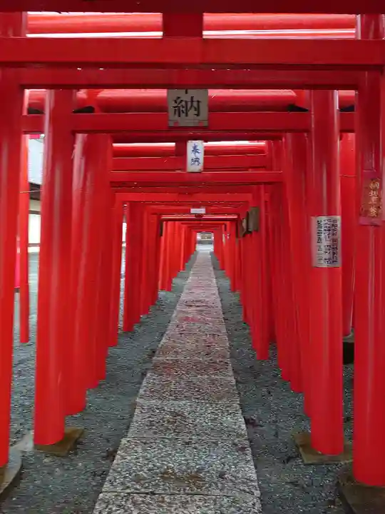 小泉稲荷神社の鳥居
