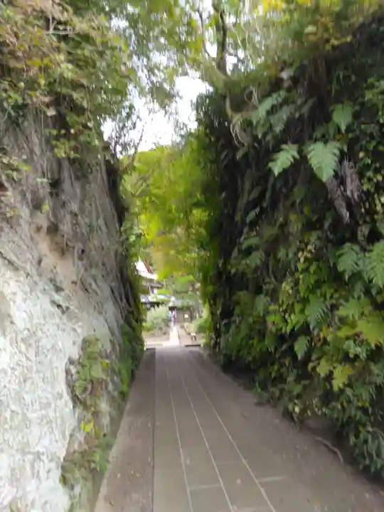 神武寺(神奈川県)