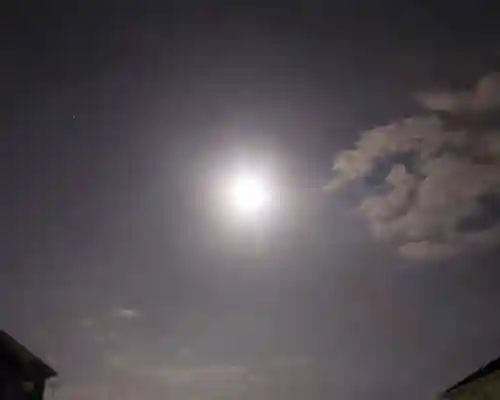 刺田比古神社の自然