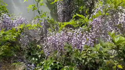 尊陽院(京都府)