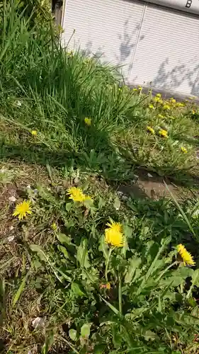 尾張大國霊神社（国府宮）の自然