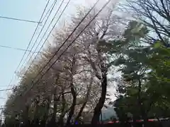 大野台御嶽神社の自然