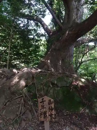 文殊仙寺(大分県)