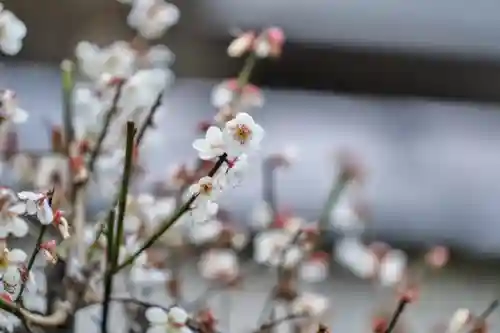 伊勢の国 四天王寺の自然