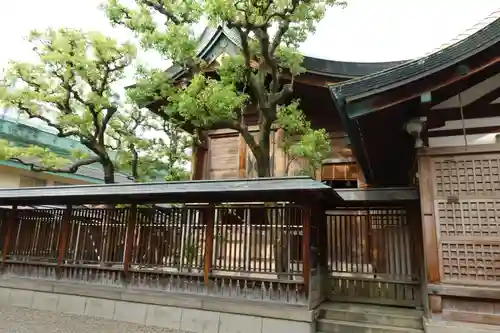 今宮戎神社の本殿・本堂