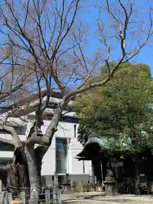 阿邪訶根神社の{uncategorized: "未分類", other: "その他", undefined: "問題あり", building: "その他建物", grave: "お墓", sacred_gate: "鳥居", guardian: "狛犬", statue: "像", buddha: "仏像", history: "歴史", nature: "自然", garden: "庭園", animal: "動物", pagoda: "塔", temizu: "手水舎", mountain_gate: "山門・神門", sanctuary: "本殿・本堂", subordinate: "末社・摂社", art: "芸術", scenery: "景色", jizo: "地蔵", ema: "絵馬", goshuin: "御朱印", omikuji: "おみくじ", items: "授与品その他", amulet: "お守り", goshuincho: "御朱印帳", eats: "食事", festival: "お祭り", votive_dance: "神楽", shichigosan: "七五三参", wedding: "結婚式", experience: "体験その他", initially: "初詣", around: "周辺", anti_infection: "感染症対策"}