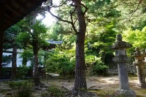 萬福寺の庭園