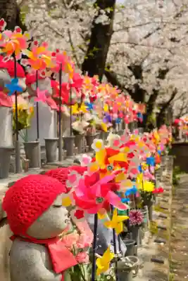増上寺の{uncategorized: "未分類", other: "その他", undefined: "問題あり", building: "その他建物", grave: "お墓", sacred_gate: "鳥居", guardian: "狛犬", statue: "像", buddha: "仏像", history: "歴史", nature: "自然", garden: "庭園", animal: "動物", pagoda: "塔", temizu: "手水舎", mountain_gate: "山門・神門", sanctuary: "本殿・本堂", subordinate: "末社・摂社", art: "芸術", scenery: "景色", jizo: "地蔵", ema: "絵馬", goshuin: "御朱印", omikuji: "おみくじ", items: "授与品その他", amulet: "お守り", goshuincho: "御朱印帳", eats: "食事", festival: "お祭り", votive_dance: "神楽", shichigosan: "七五三参", wedding: "結婚式", experience: "体験その他", initially: "初詣", around: "周辺", anti_infection: "感染症対策"}