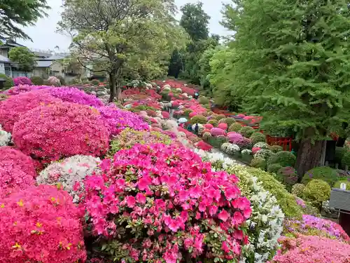 根津神社の庭園