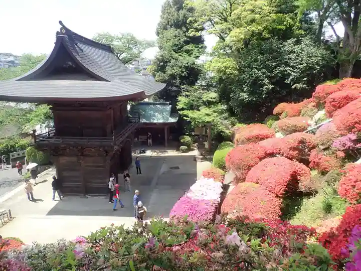 等覚院の御朱印