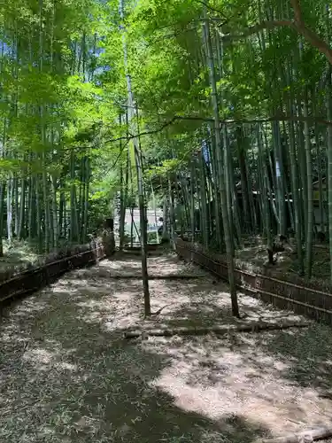 八王寺(埼玉県)