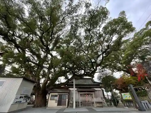水神社(福岡県)