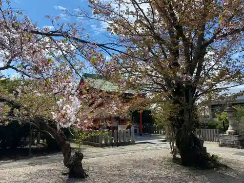 山城ゑびす神社のその他建物