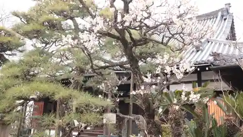 徳融寺(奈良県)