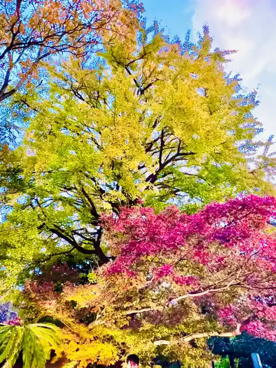 高徳院(神奈川県)