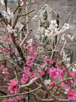 田端神社(東京都)