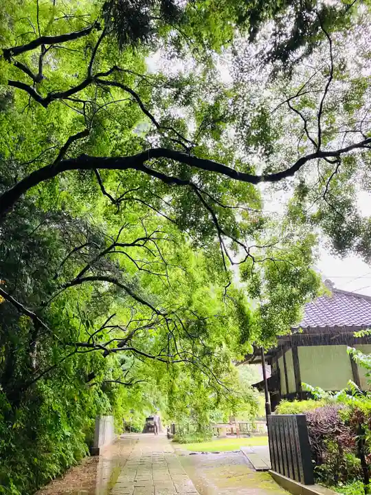 観福寺(千葉県)