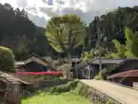 大河内神社の自然