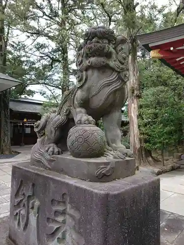 越ヶ谷久伊豆神社の狛犬