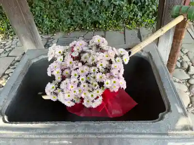於菊稲荷神社(群馬県)