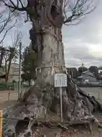 相原八幡宮(神奈川県)