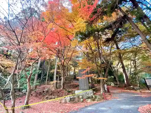 乾徳寺(滋賀県)