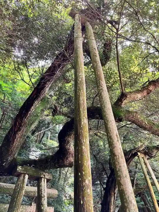 鹿島神宮(茨城県)