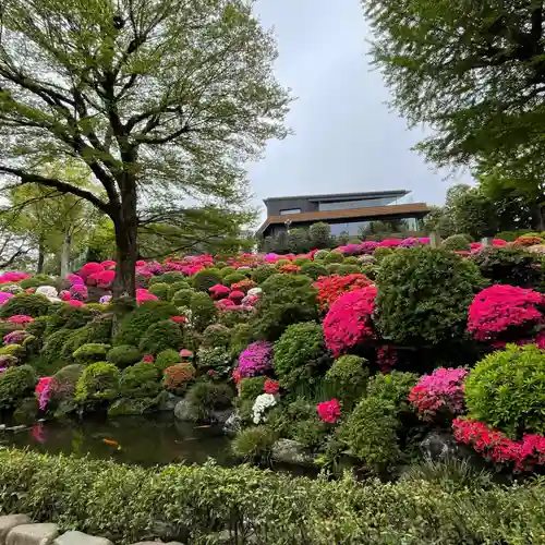 根津神社の自然