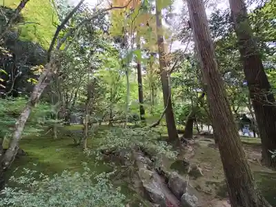 慈照寺（慈照禅寺・銀閣寺）(京都府)