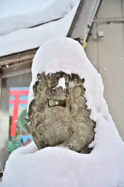 高龍神社(新潟県)