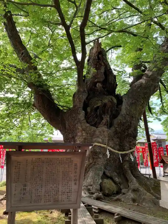秩父今宮神社の自然